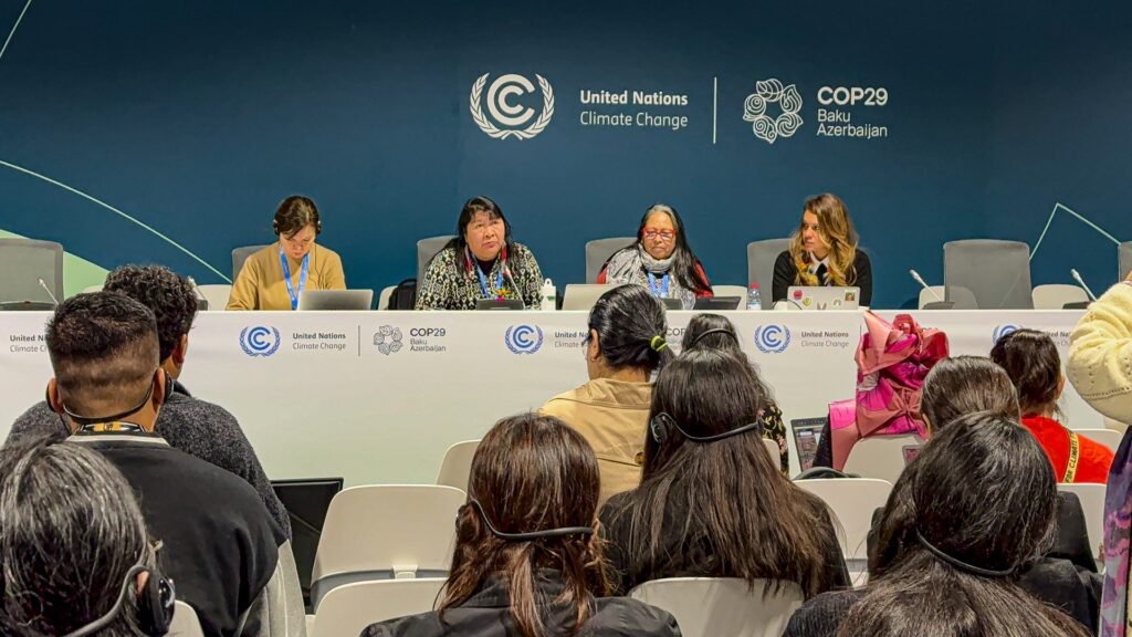 Funai destaca a importância do acesso dos povos indígenas a fundos de financiamento climático durante a COP29