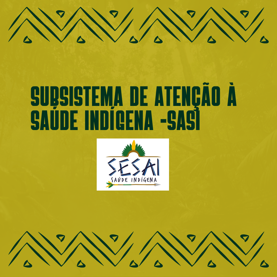 Subsistema de Atenção à Saúde Indígena -SASI