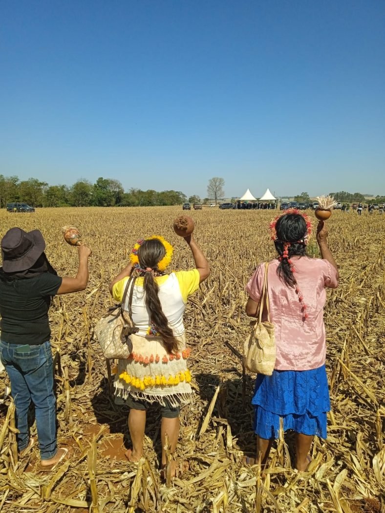 Quem são os ruralistas que fomentam o massacre dos Guarani no oeste do Paraná
